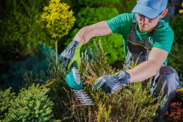 landscaping services Chenango Bridge